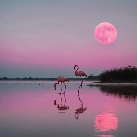 Harmonie Prázdninový dům Calvisson